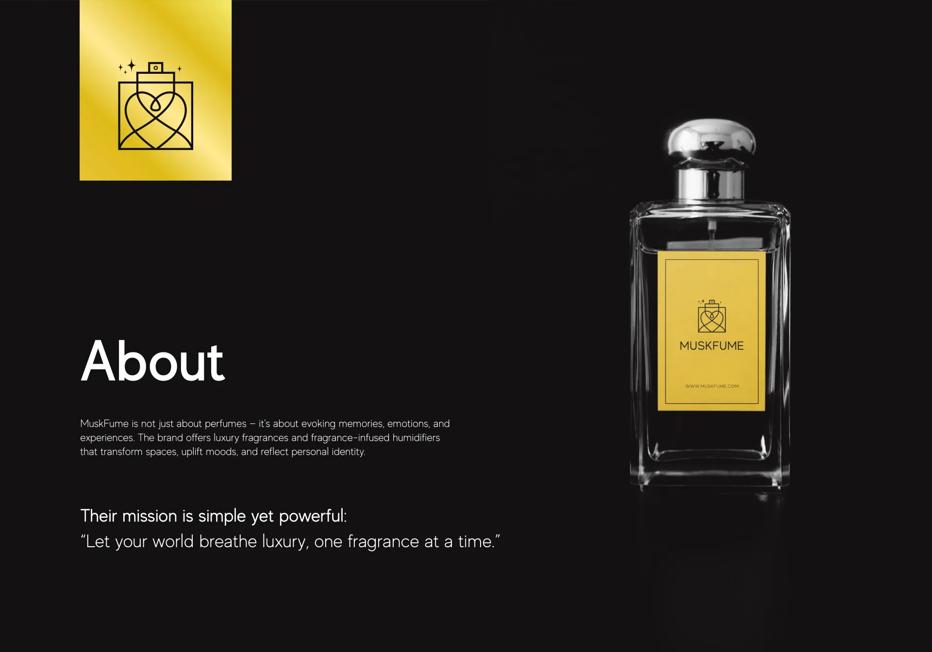 Motion Graphics 13