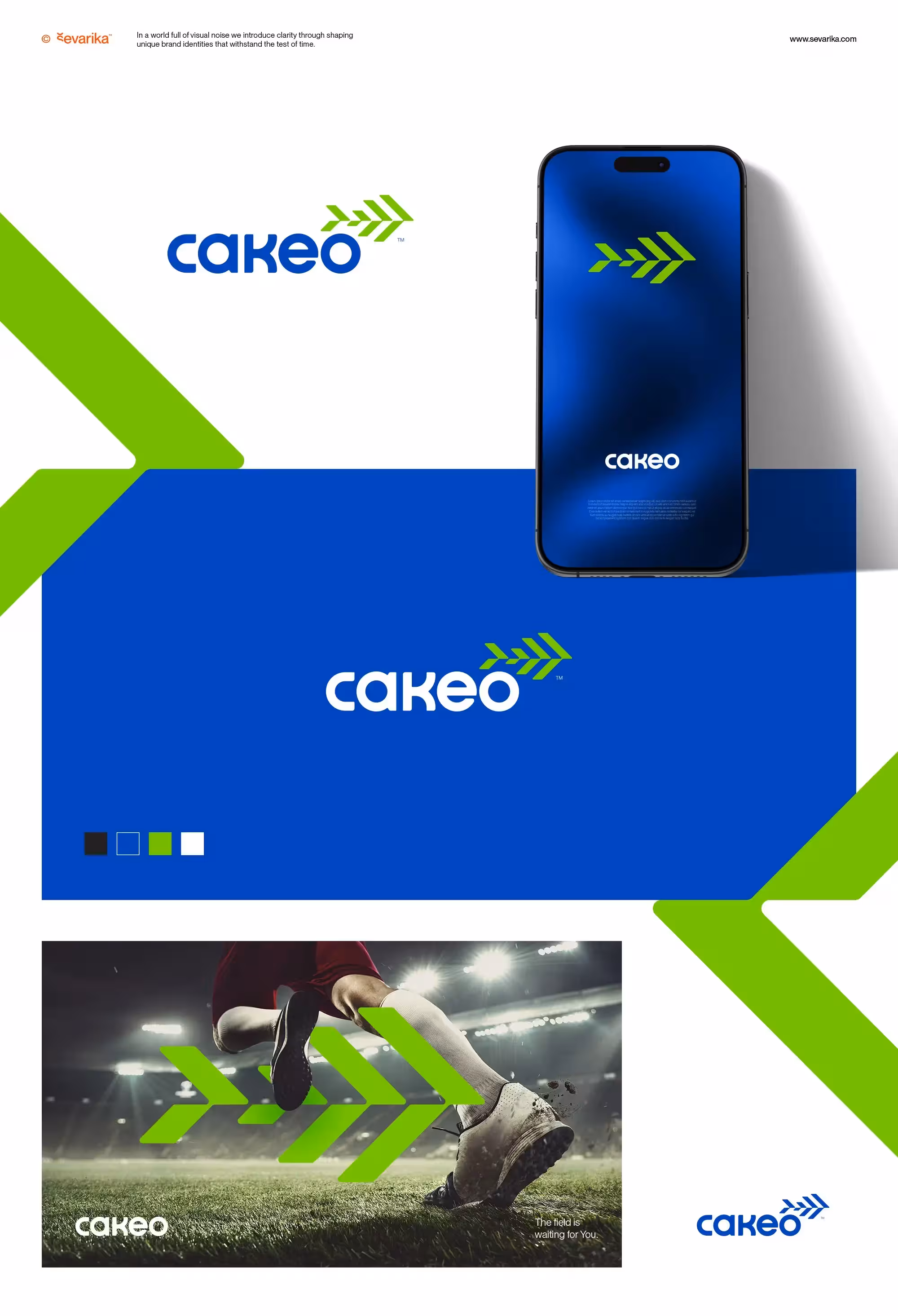 Professional Marketing Design - Brand Identity System